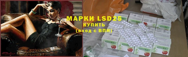 прущие грибы Богданович