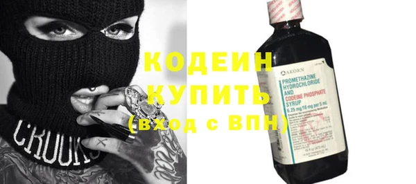 прущие грибы Богданович