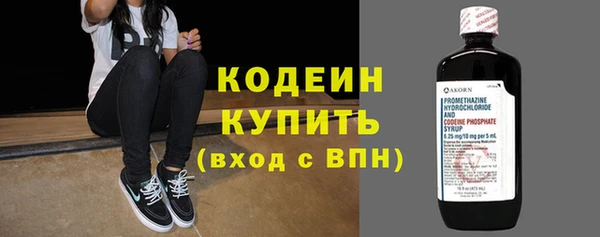 прущие грибы Богданович