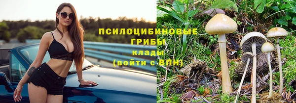прущие грибы Богданович