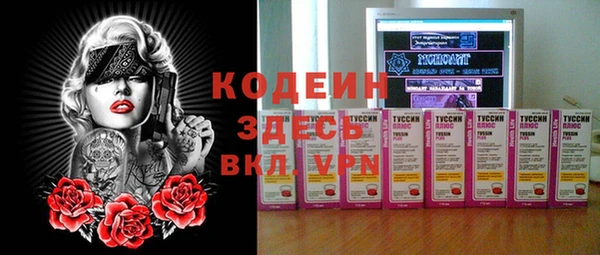 прущие грибы Богданович