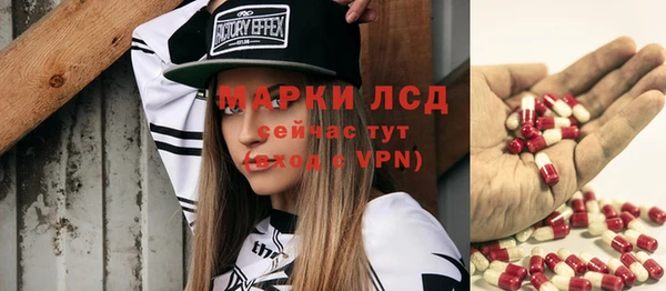 прущие грибы Богданович