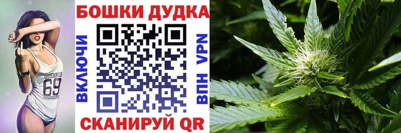 Канабис план  Кольчугино 
